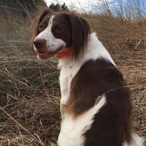 Meet your Posher, Pam